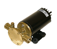 F4B-19 12V IMPELLER PUMP 1/2'' BSP