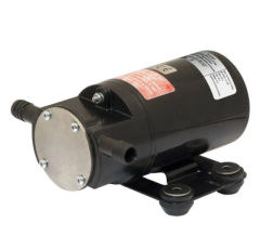 F2P10-19 12V IMPELLER PUMP